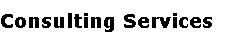 Consulting Services
