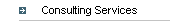 Consulting Services